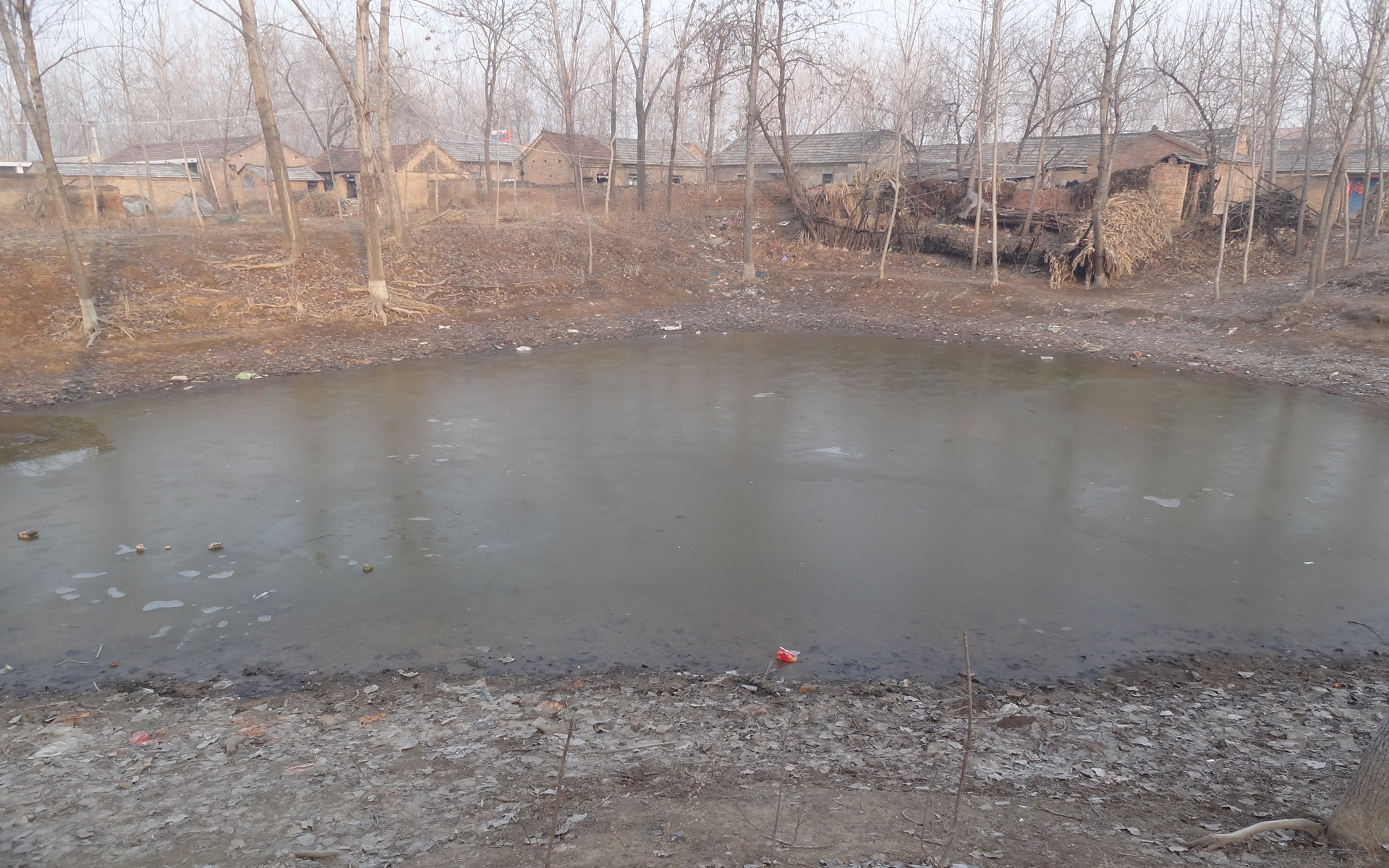 街拍洪佛寺(2013年)